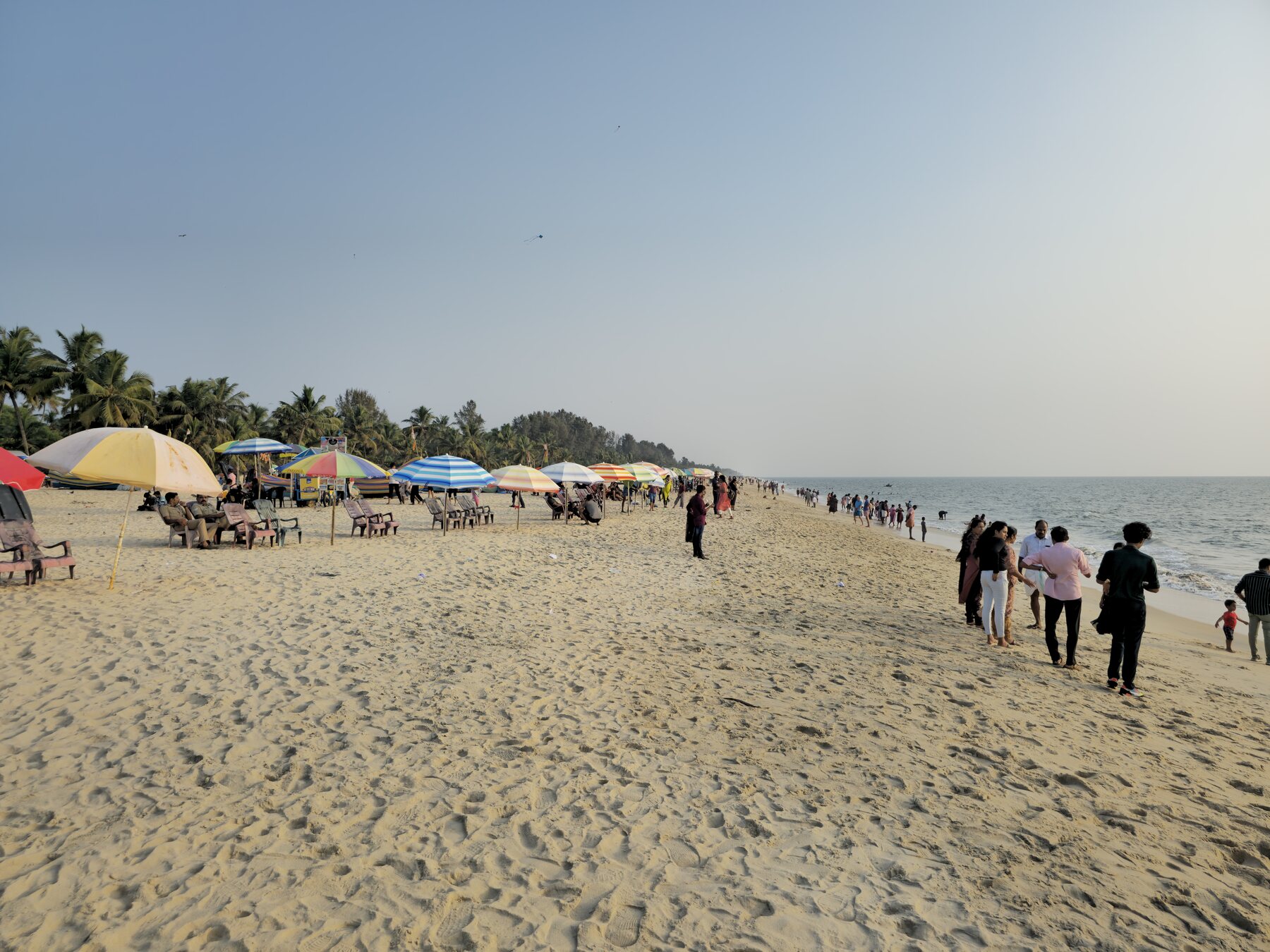 Playa tropical de Marari en Kerala