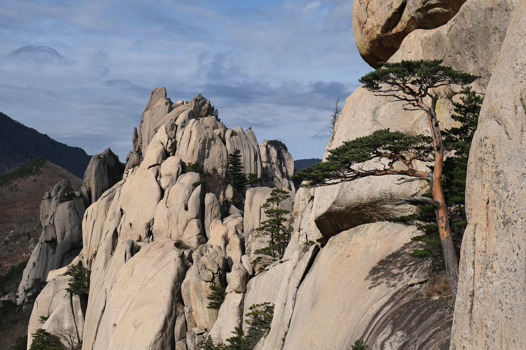 Cumbres de granito de Ulsanbawi en el Parque Nacional de Seoraksan