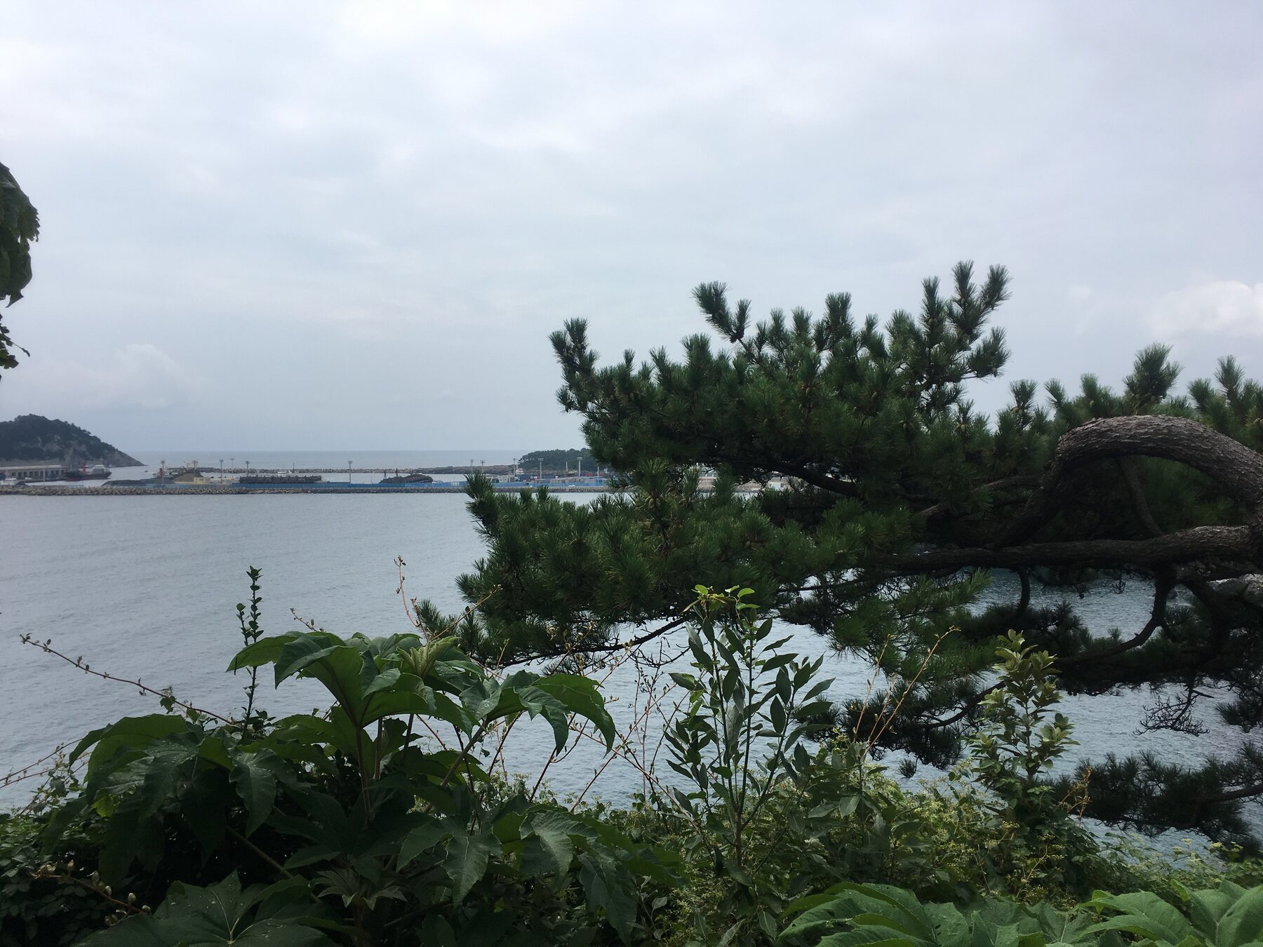 Cascada Jeongbang cayendo junto a la costa volcánica de Jeju