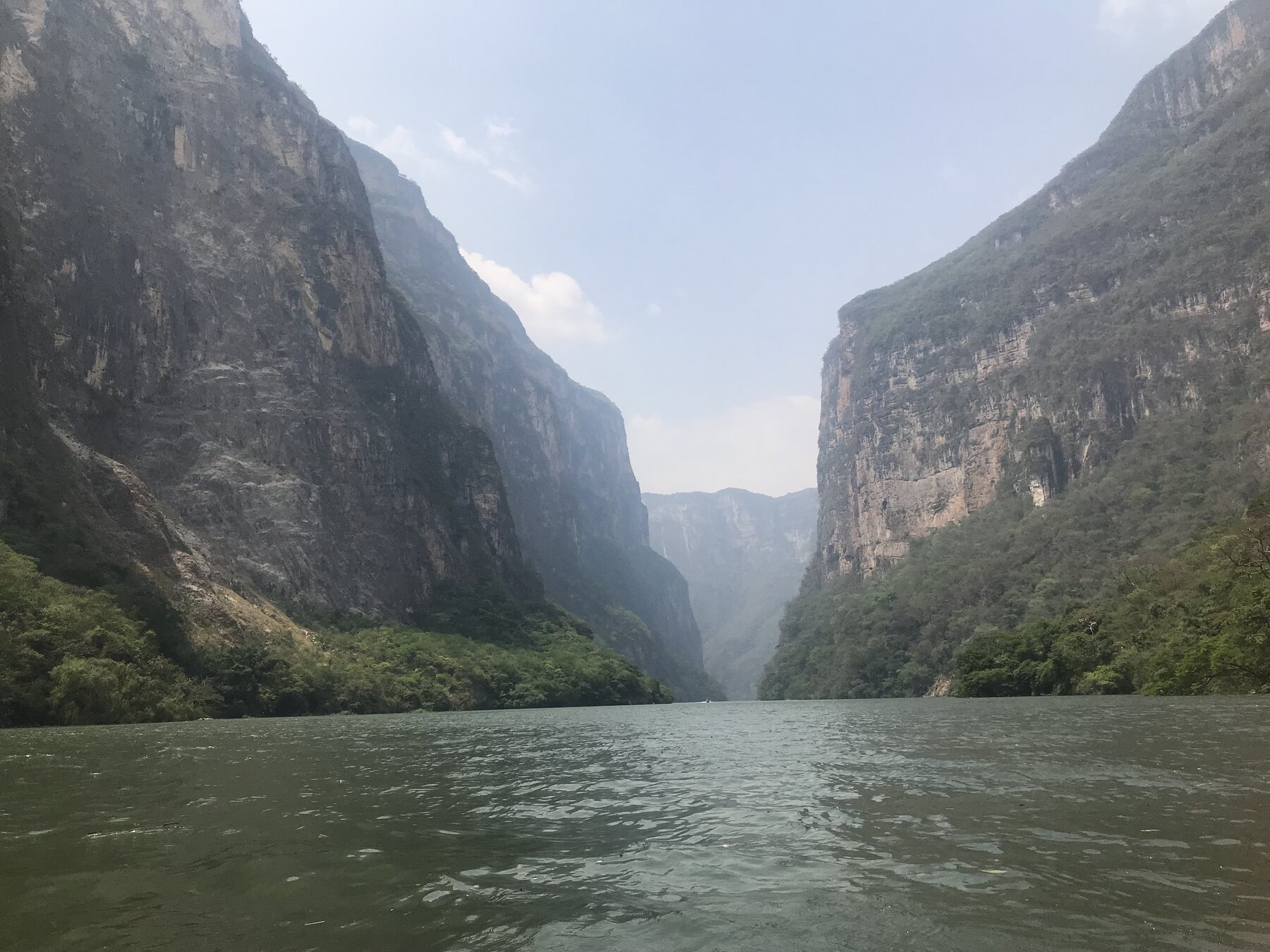 Altas paredes rocosas cubiertas de vegetación en el Cañón del Sumidero