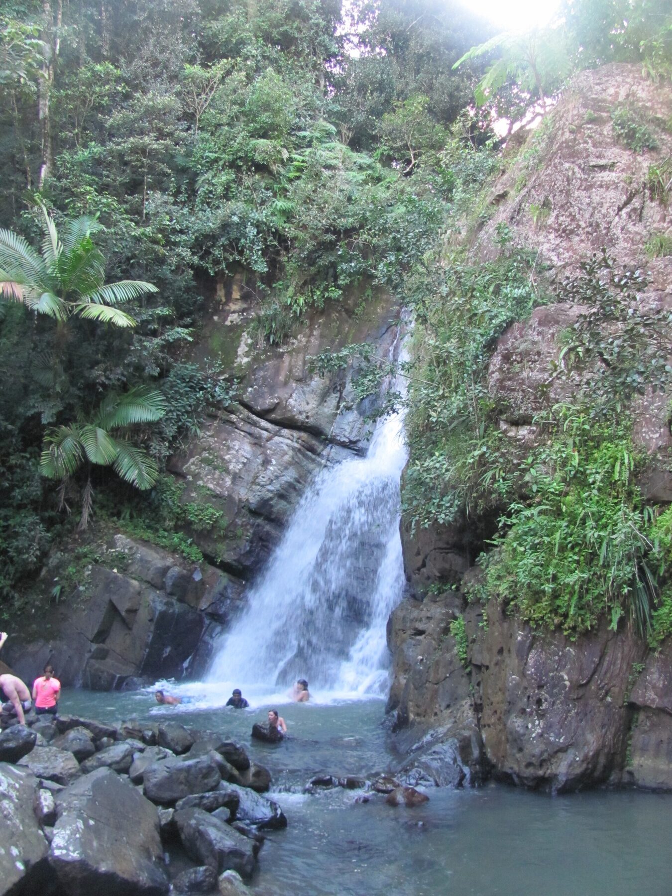 Cascada rodeada por la selva de El Yunque