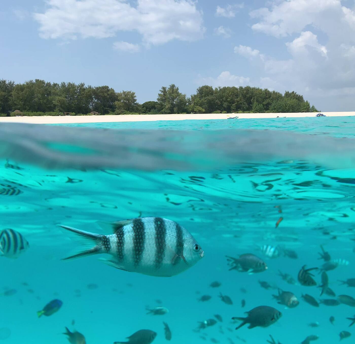 Isla de Mnemba y arrecife en la costa nororiental de Zanzíbar